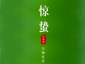 【蜜桃视频仿石漆】驚蟄 | 春雷始鳴 萬物生長