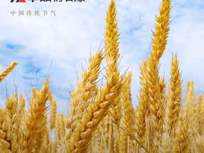 【蜜桃视频仿石漆】芒種 | 不負每一次耕耘 擁抱每（měi）一份收獲