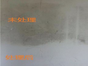 牆體黴菌快速清除劑